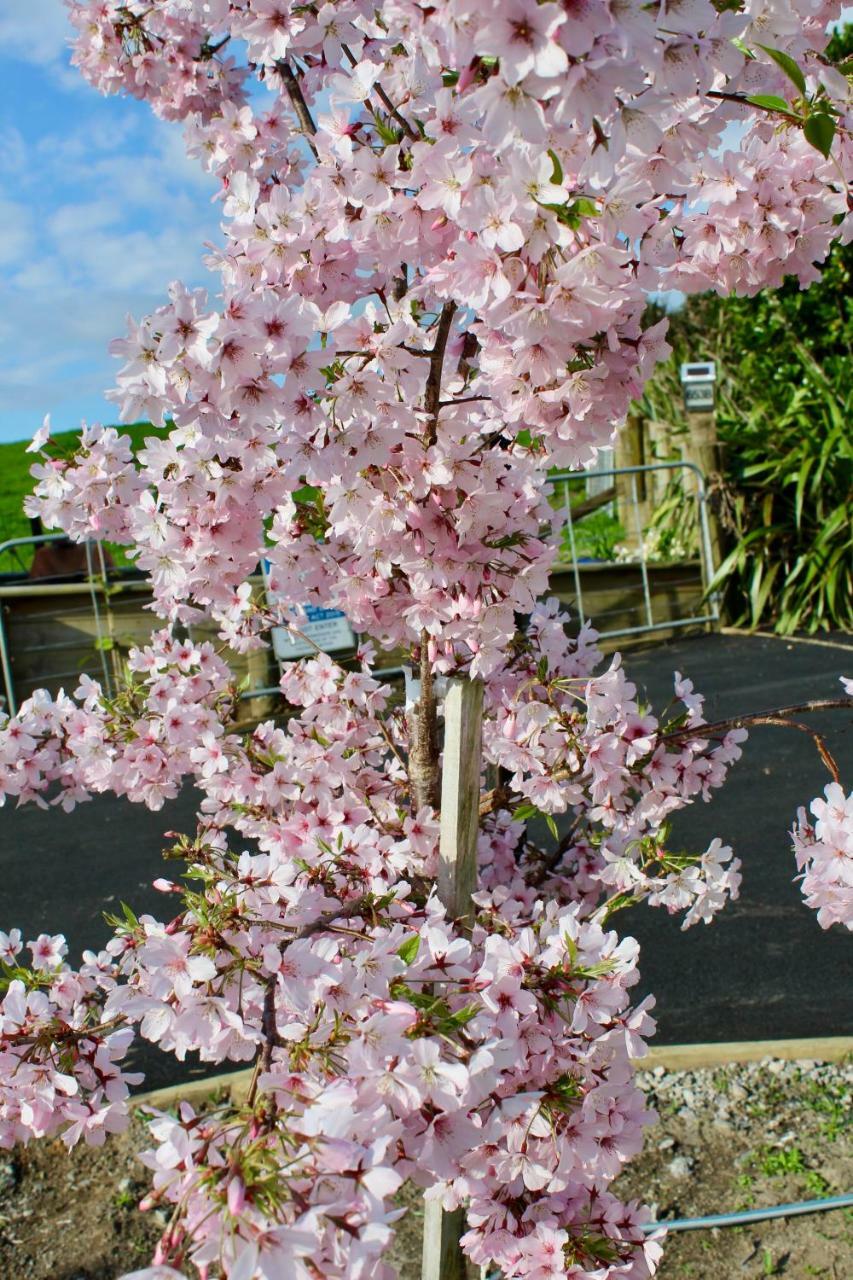 Arohanui Rural Retreat B&B Tauranga Kültér fotó